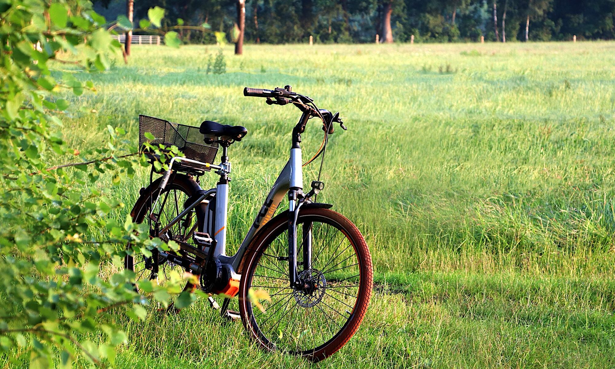 Electric biking in the Columbia Valley